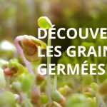 Nutritionniste diététicien Metz