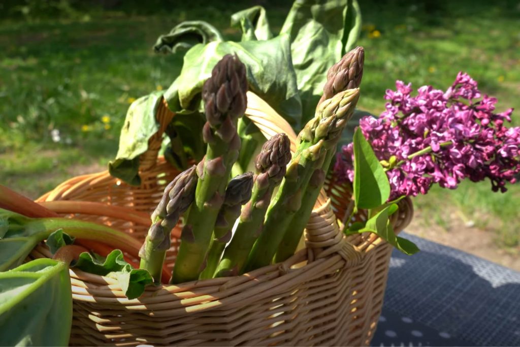 dieteticienne-legumes-avril-metz-perte-de-poids
