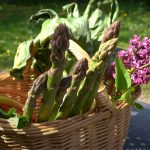 dieteticienne-legumes-avril-metz-perte-de-poids